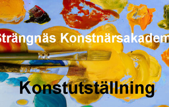Strängnäs Konstnärsakademins 500 års resa - fortsätter till Åkers Styckebruk Folkets Hus 1/12-31/12 där även vandringsutställningen avslutas